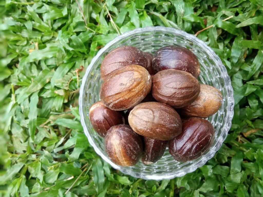 Nutmeg RICH CEYLON RAW SPICES