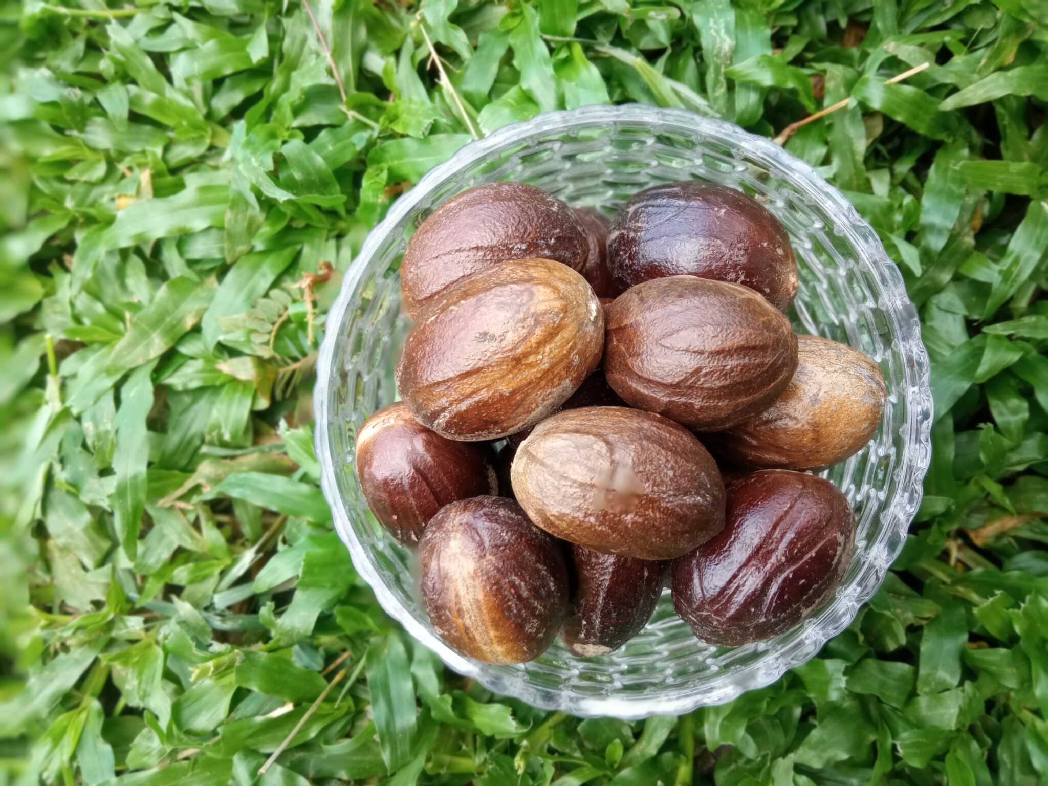 Nutmeg RICH CEYLON RAW SPICES